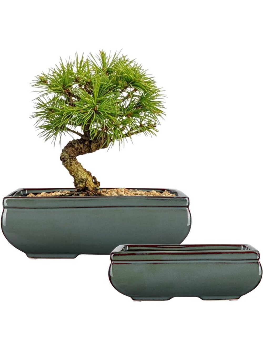 Set of 2 Large Green Glazed Bonsai Pots with Drainage Holes - 9.8” & 7.4